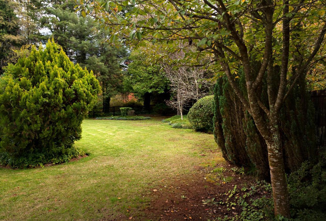 Birches Cottage & The Willows Garden Room Underberg Kültér fotó