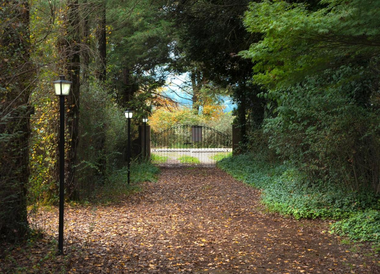 Birches Cottage & The Willows Garden Room Underberg Kültér fotó