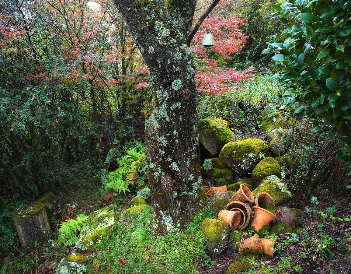 Birches Cottage & The Willows Garden Room Underberg Kültér fotó