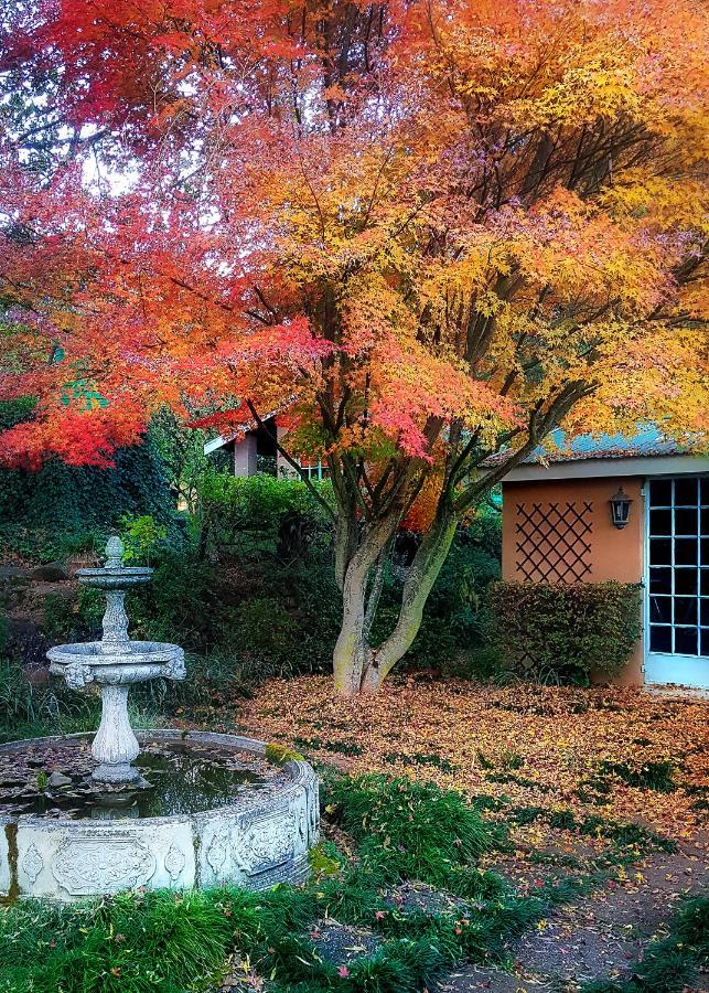 Birches Cottage & The Willows Garden Room Underberg Kültér fotó