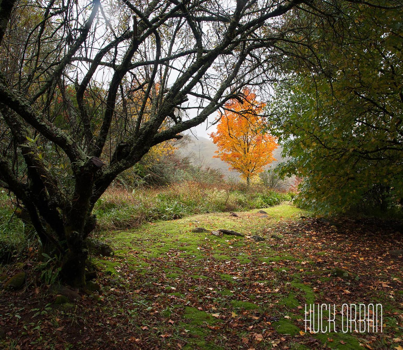 Birches Cottage & The Willows Garden Room Underberg Kültér fotó