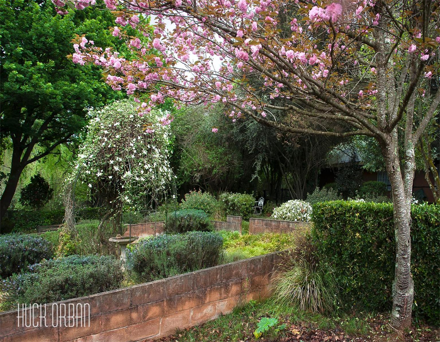 Birches Cottage & The Willows Garden Room Underberg Kültér fotó