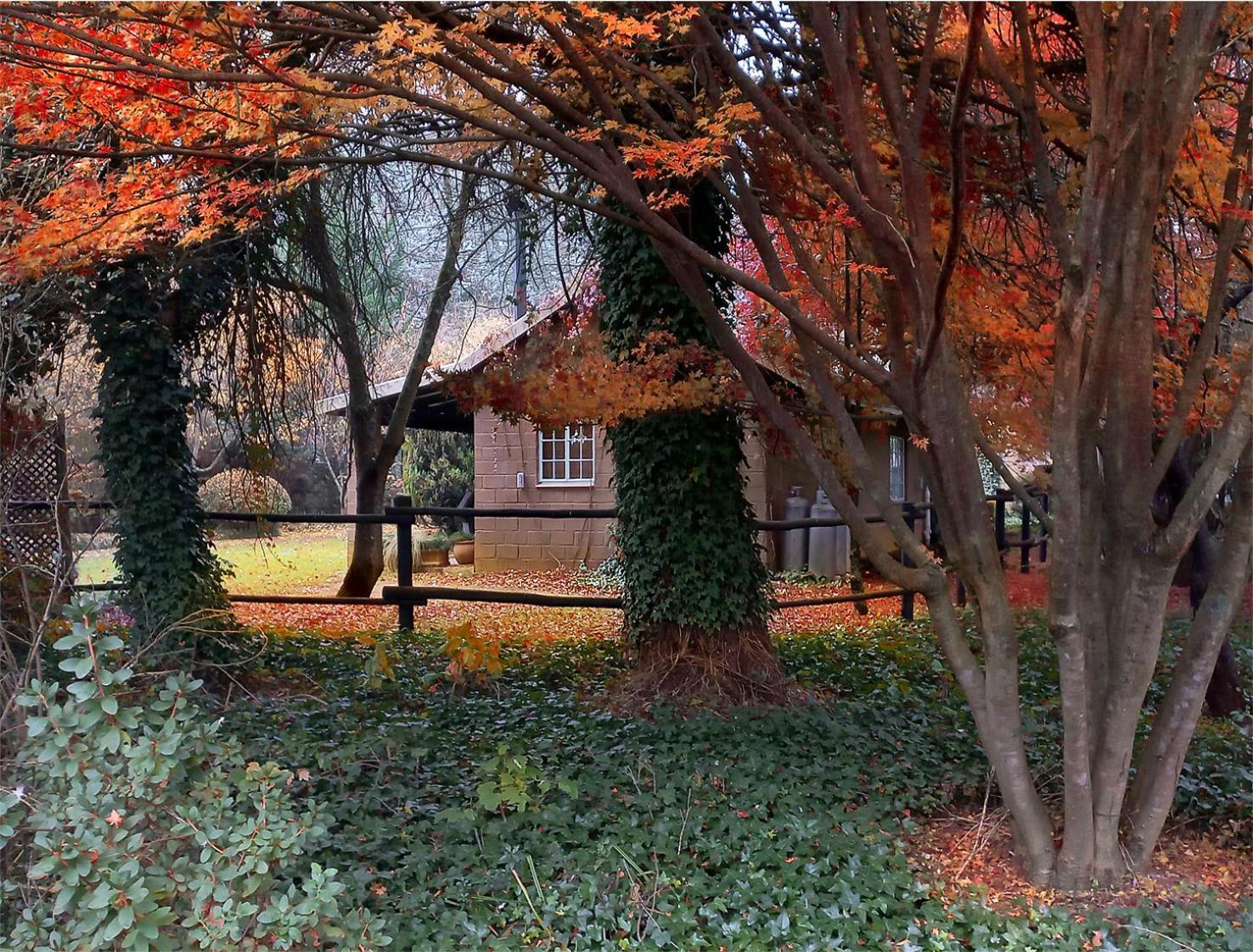 Birches Cottage & The Willows Garden Room Underberg Kültér fotó