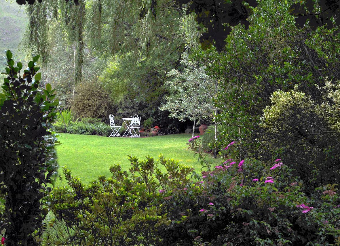 Birches Cottage & The Willows Garden Room Underberg Kültér fotó