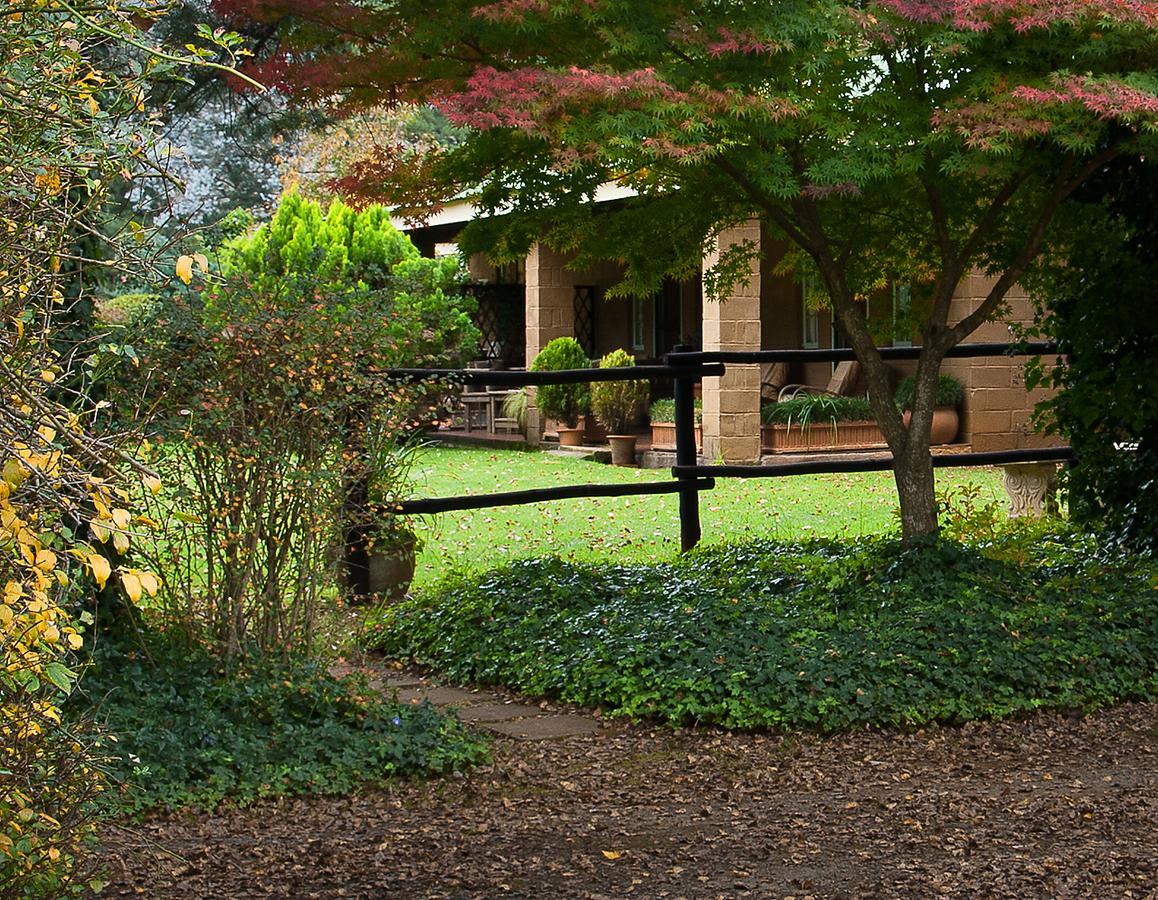 Birches Cottage & The Willows Garden Room Underberg Kültér fotó