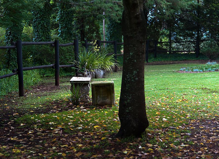 Birches Cottage & The Willows Garden Room Underberg Kültér fotó