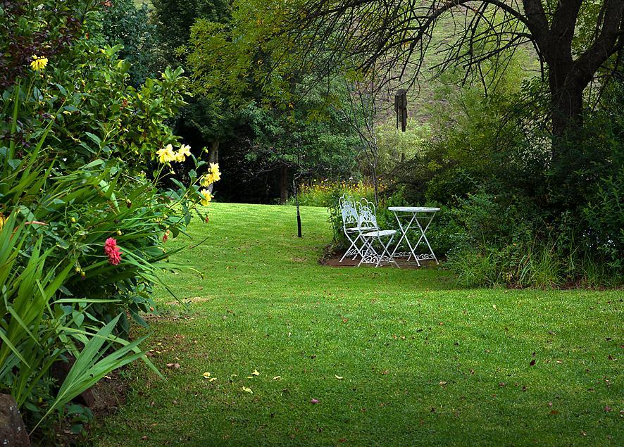 Birches Cottage & The Willows Garden Room Underberg Kültér fotó