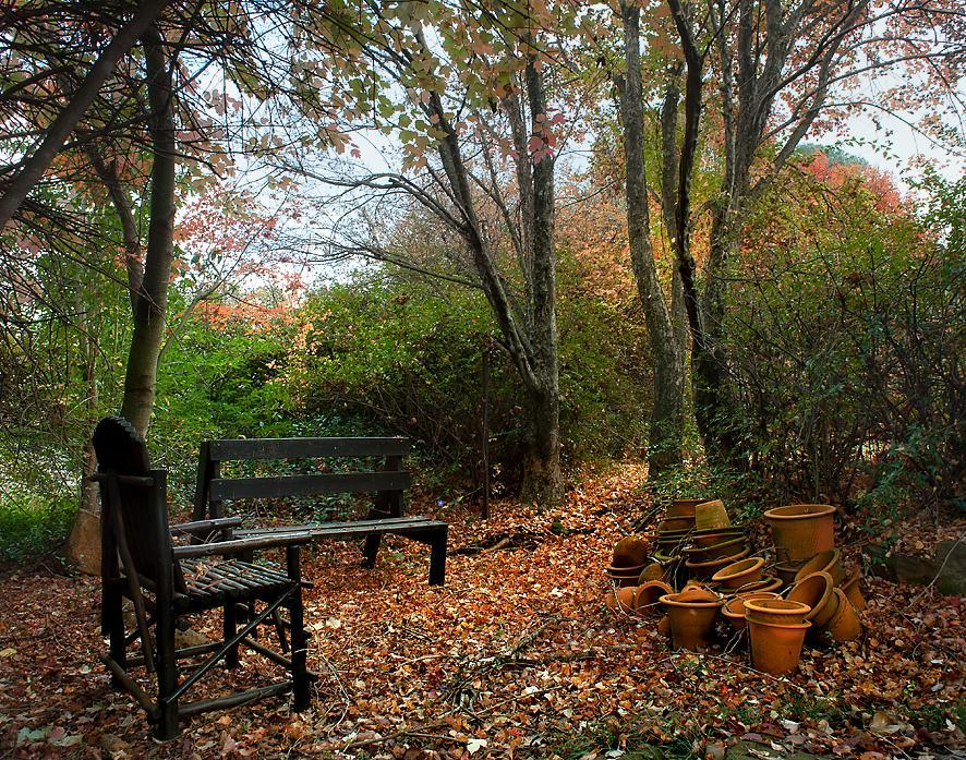 Birches Cottage & The Willows Garden Room Underberg Kültér fotó