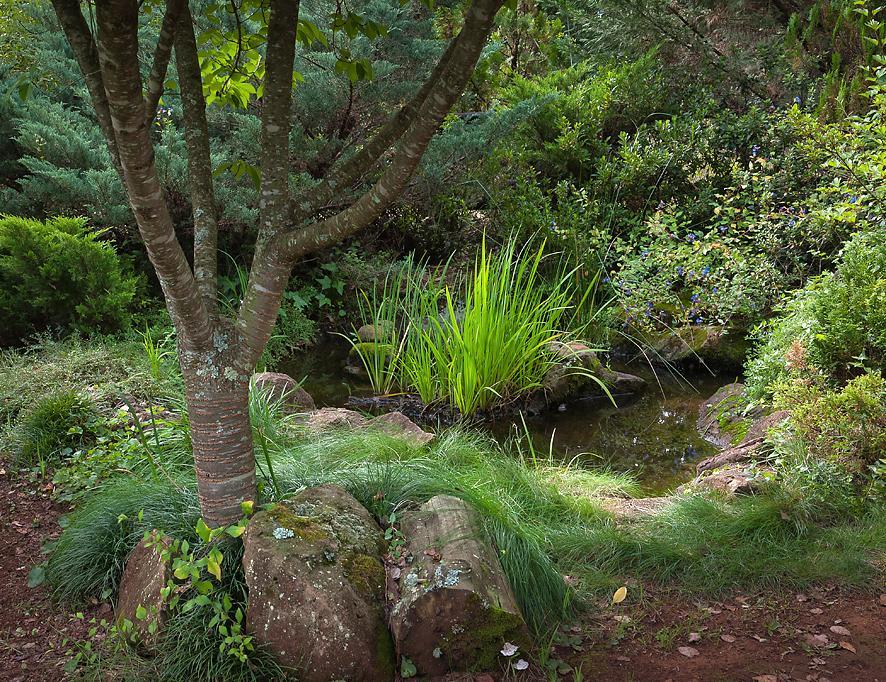 Birches Cottage & The Willows Garden Room Underberg Kültér fotó