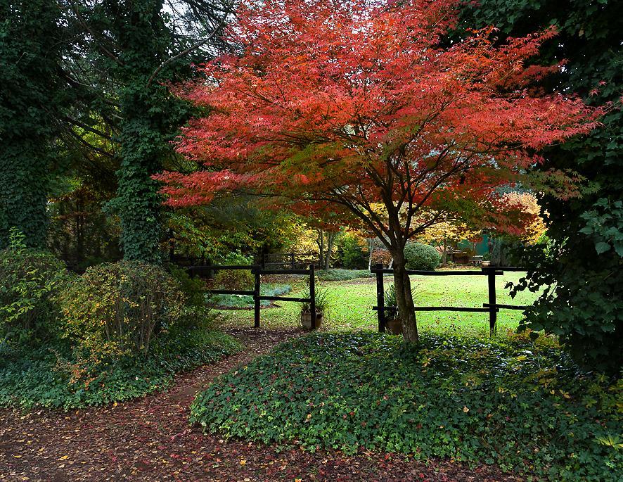 Birches Cottage & The Willows Garden Room Underberg Kültér fotó