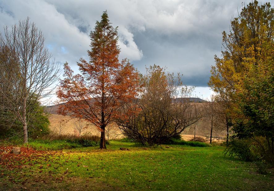 Birches Cottage & The Willows Garden Room Underberg Kültér fotó